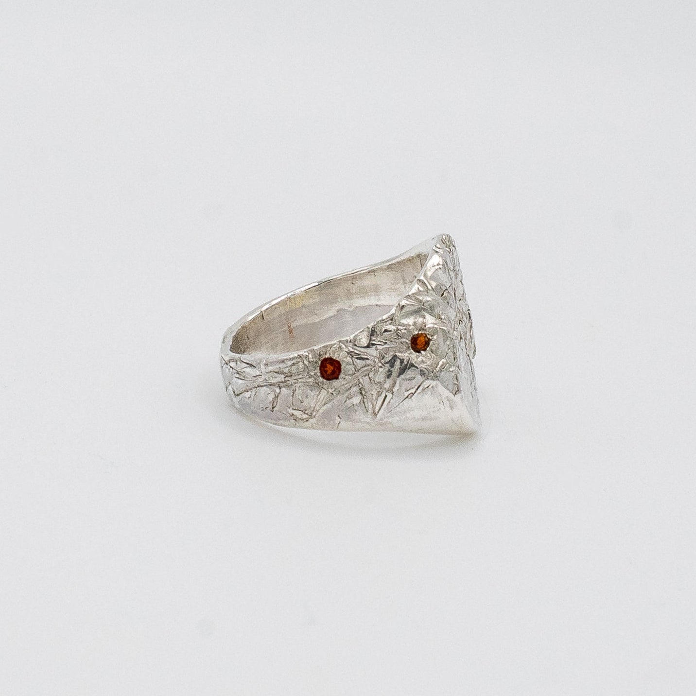 Sliced Circle Signet-2