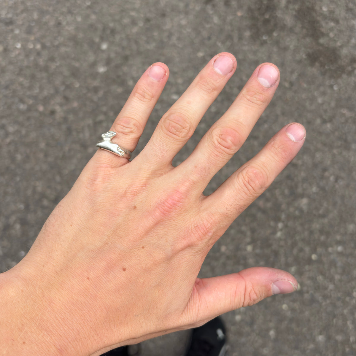 Bunny Ring-2