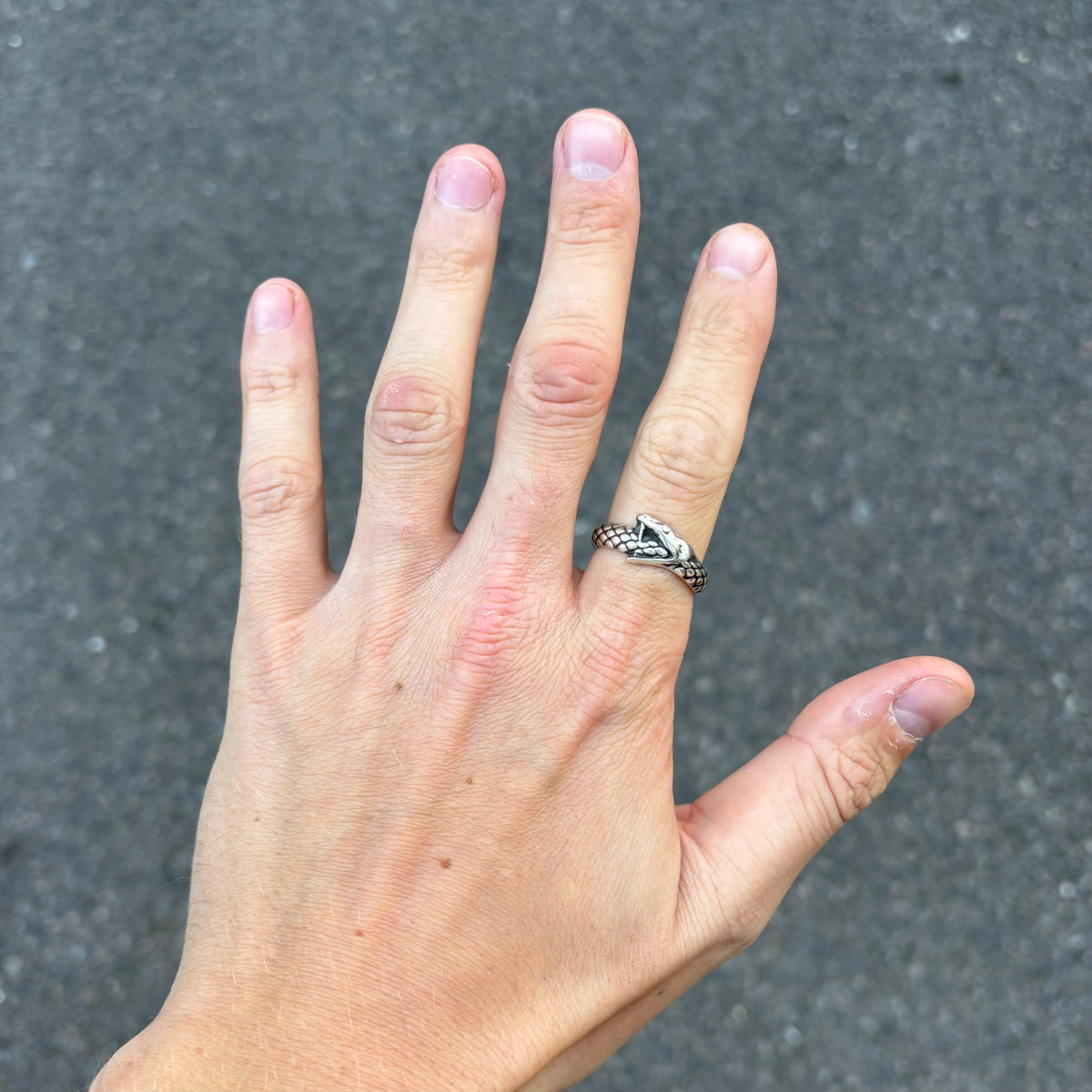 Serpent Ring-2