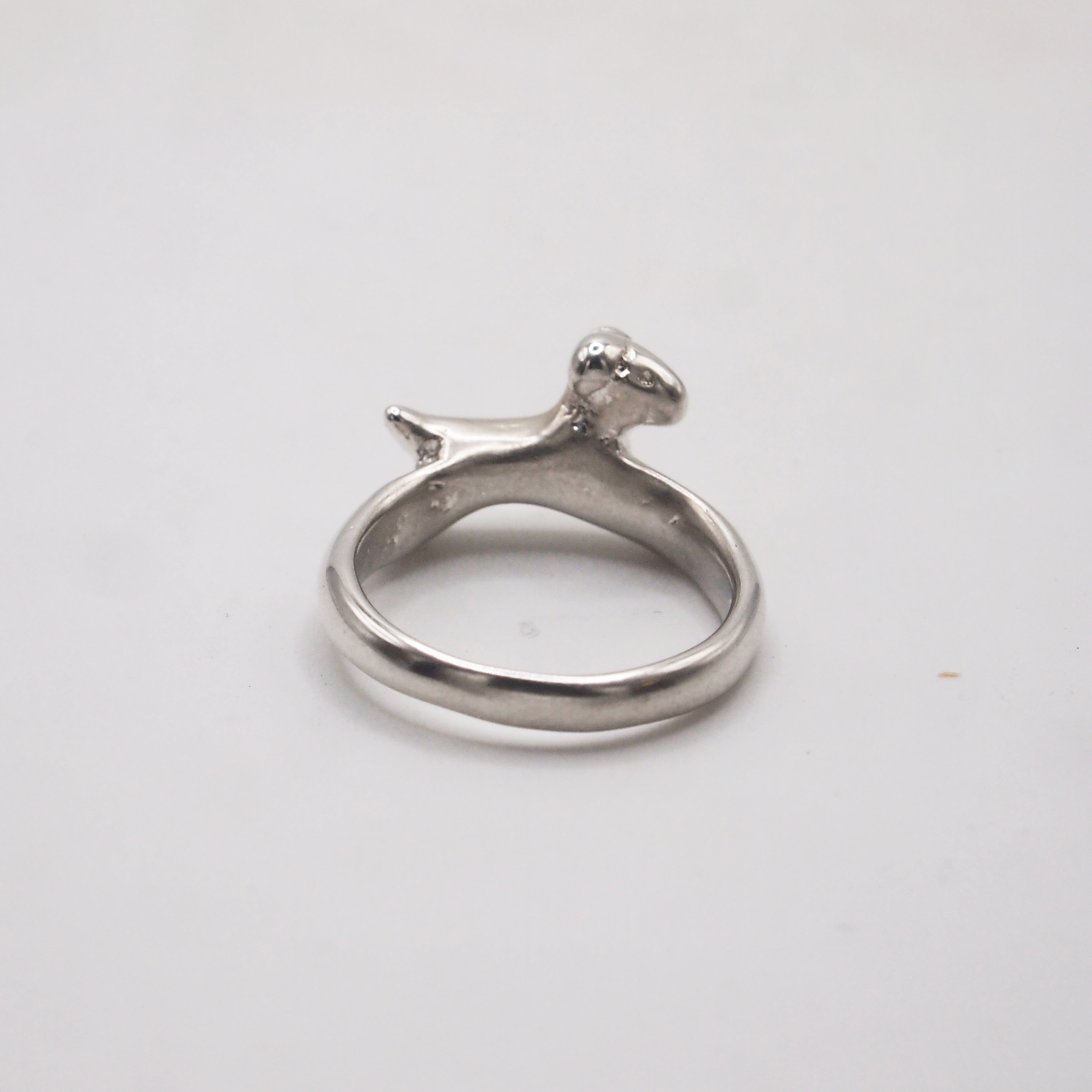 Dog Ring-3