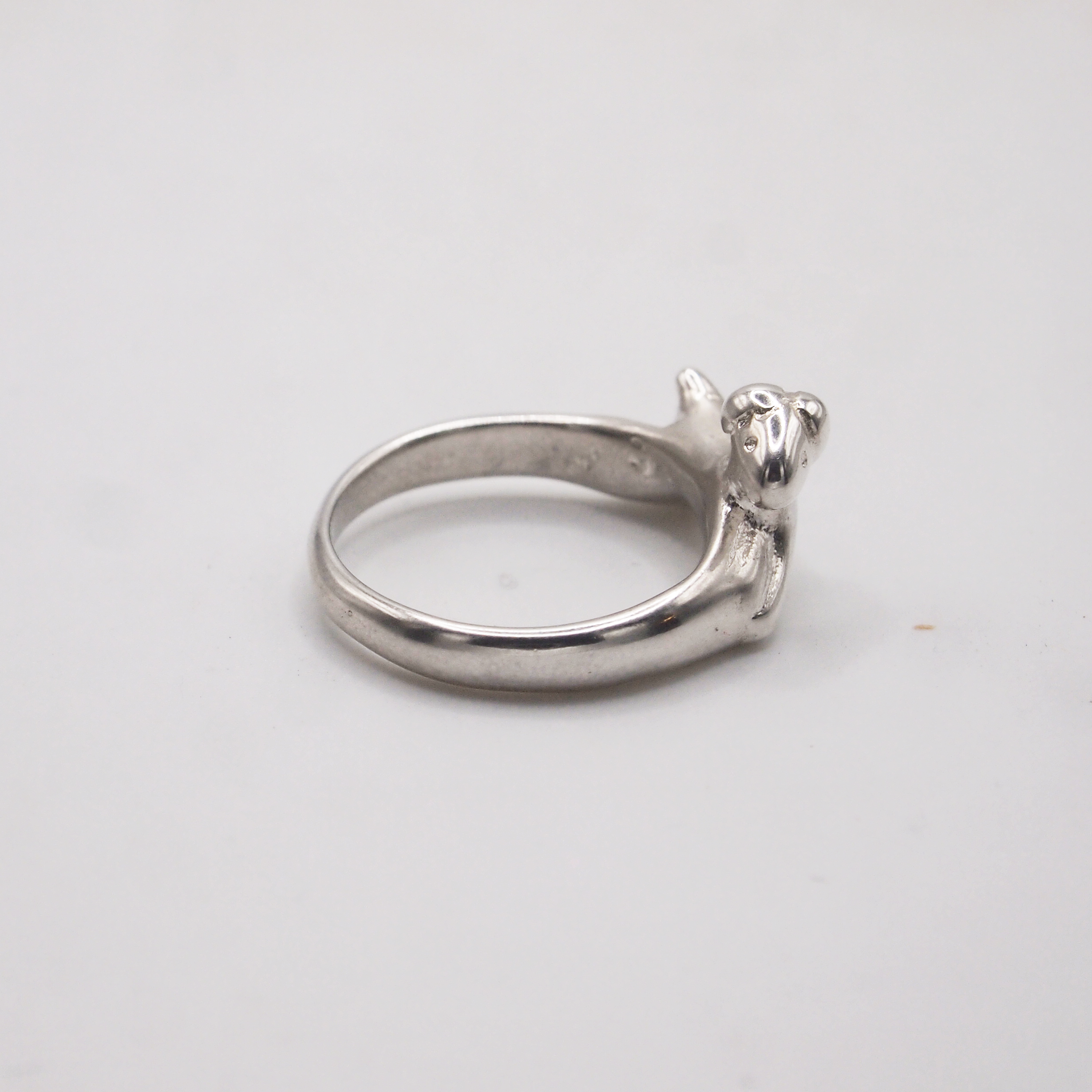 Dog Ring-4