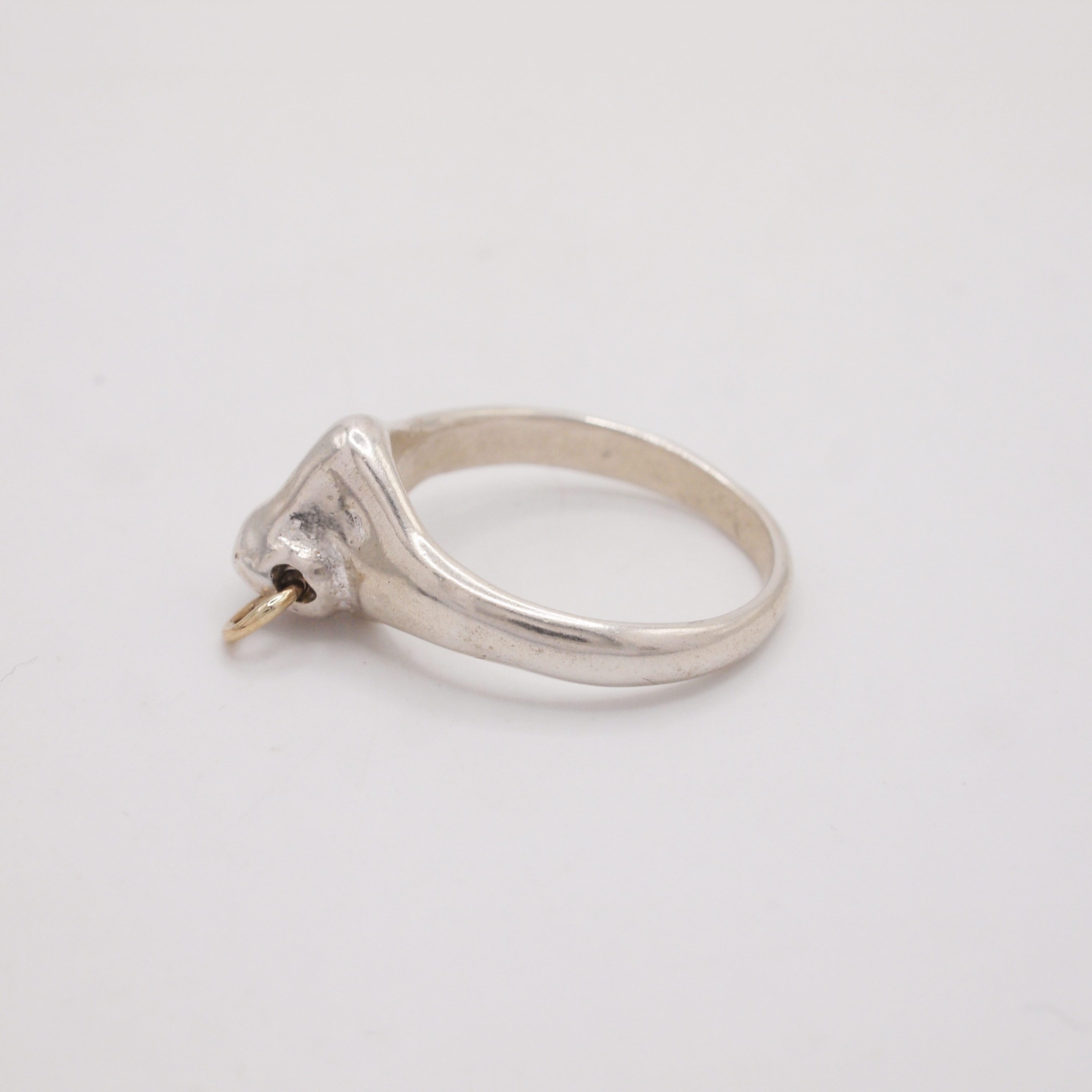 Nose Ring-2