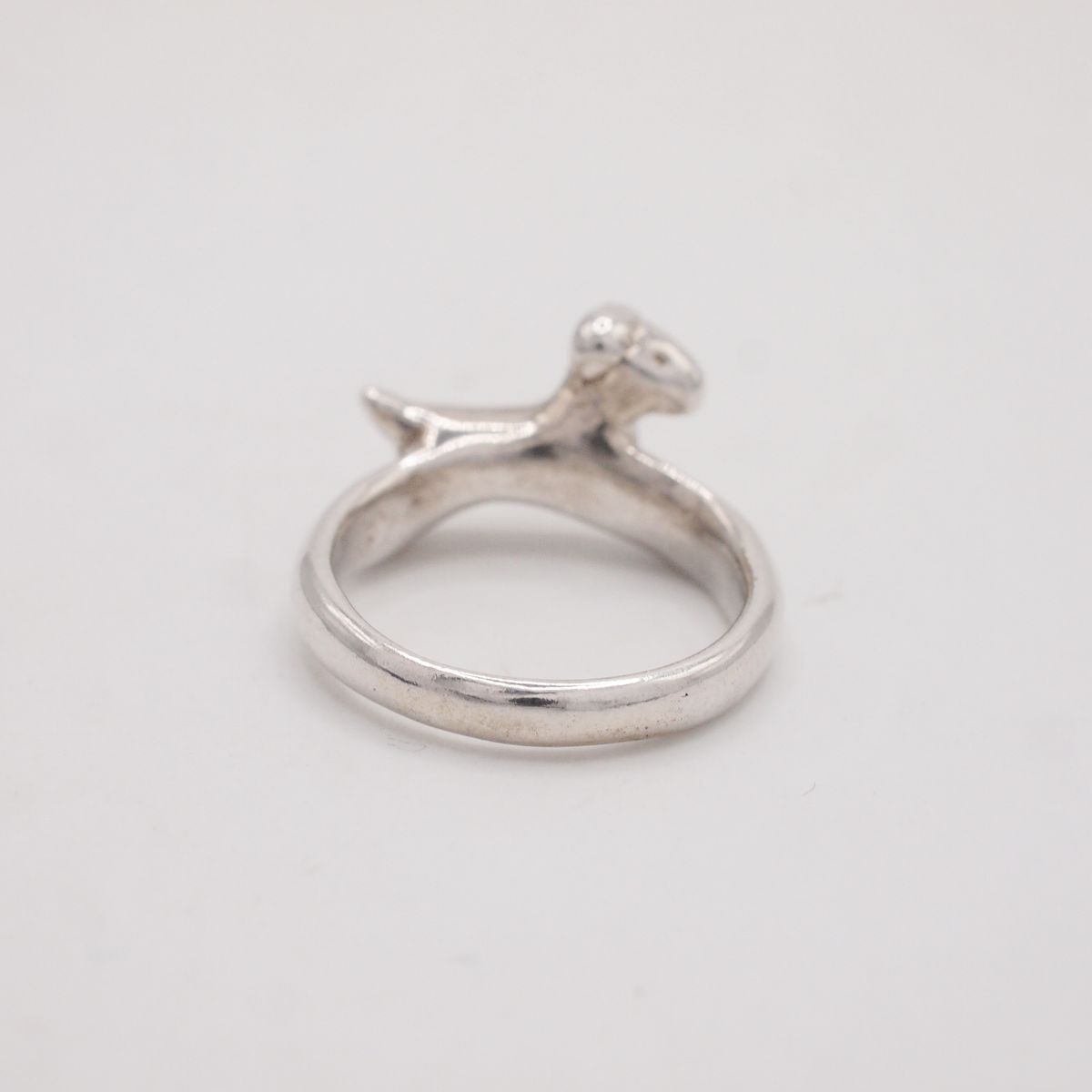 Dog Ring-4