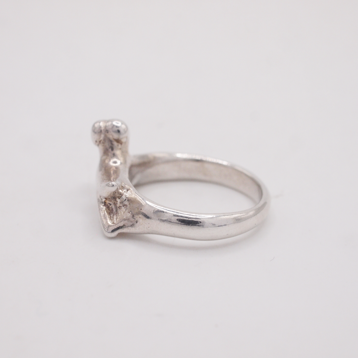Dog Ring-5